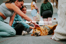 Students pet therapy dog, Remington in the Love Library and Dinsdale Family Learning Commons to de-s