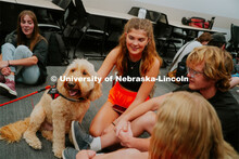 Students pet therapy dog, Marko in the Love Library and Dinsdale Family Learning Commons to de-stres