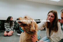 Students pet therapy dog, Marko in the Love Library and Dinsdale Family Learning Commons to de-stres
