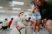 Students pet therapy dog, Carl in the Love Library and Dinsdale Family Learning Commons to de-stress