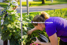 Bailey Feit (right), coordinator of the Lincoln Public Schools/College of Agricultural Sciences and 