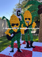 Yard Displays for Nebraska vs Rutgers homecoming game and Cornchella festival. October 5, 2024. 