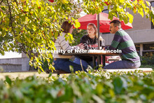 Law students studying outside. College of Law photoshoot. October 10, 2024. 