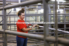 McKenna Carr hoses down the cattle pens. Cleaning the animal pens is a large part of daily chores. T