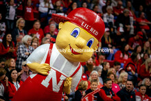 Lil’ Red dances at the Nebraska vs. Illinois Volleyball game. October 25, 2024. 