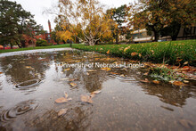 Rain puddle outside of the Sheldon Art Museum. Fall on City Campus. October 30, 2024. 