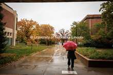 A student walks in the rain by the libraries with an umbrella. Fall on City Campus. October 30, 2024