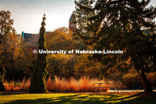 Fall Scenery on city campus. Architecture Hall. November 8, 2024. 