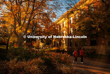 Fall Scenery on City Campus. Bessey Hall. November 8, 2024. 