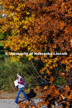 A student walks along R Street under the fall leaves. Fall on City Campus. November 15, 2024. 