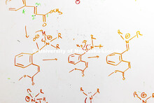 Lauren Moon, a senior in chemistry from Beatrice, performs an enzyme assay that can be viewed by the