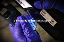 Lauren Moon, a senior in chemistry from Beatrice, performs an enzyme assay that can be viewed by the