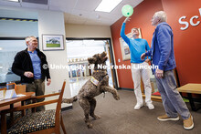 Certified therapy dog Jonas attempts to hit a balloon during his fourth birthday party inside Hardin