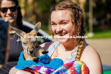 Emma Dierks, a freshman psychology major, holds a joey from Wildlife Encounters in Lincoln, NE durin