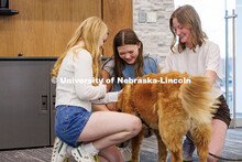 (Left to right) Izzy Krumwiede, Gracie Persinger and Sydney Hatch pet Remy the golden retriever duri