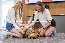 (Left to right) Izzy Krumwiede, Gracie Persinger and Sydney Hatch pet Remy the golden retriever duri