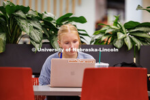 Elizabeth Pierce studies in the East Campus Union. May 7, 2025. 