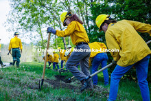 Charlie Stansbery, a senior Fisheries and Wildlife major, digs a fireline during the Red Card Traini