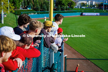 A group of fans lean over the fence and cheer on the Husker Baseball team. Nebraska vs Minnesota bas