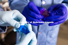 Stephen Morin, Associate Professor of Chemistry, and doctoral student Brennan Watts hold two colorfu