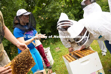 Bees fly around participants during a bee wellness and yoga session held by the Bee Lab. Courtney Br