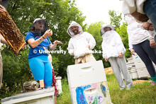 Bees fly around participants during the Bee Wellness and yoga session held by the Bee Lab. Courtney 