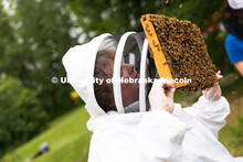 Christina Imus holds a frame up to see the bees and honeycomb during a bee wellness and yoga session