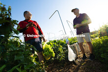 Mark Mesarch and Bill Sorensen walk through plots in the East Campus Community Gardens. Both work in