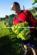 Mark Mesarch holds a bag of lettuce grown in his plot in the East Campus Community Gardens. There ar