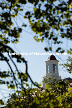 The Love Library cupola peeks through trees on a warm July morning. July 9, 2025. 