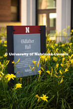 Yellow lilies surround the Oldfather Hall sign on a warm July morning. July 9, 2025. 