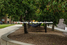 Hammocks sit empty by the Nebraska Union plaza. Summer on City Campus. July 16, 2025. 