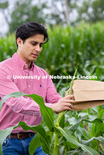 Vladimir Torres-Rodriguez, a research assistant professor in agronomy and horticulture, covers the t