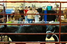 A group of 4-H competitors chat at the edge of the cattle barn just before livestock entry at the Ot