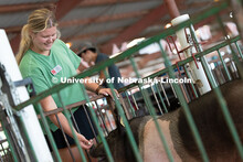 Kristen Herrick, 4-H Extension Assistant, pets one of the pigs entered for competition by sisters An