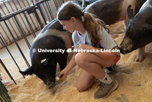Aliyah Beach, 11, gives a marshmallow to one of her pigs, Poppy, during livestock entry day at the O