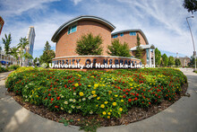 Exterior view of Van Brunt Visitors Center in the summertime. Summer on City Campus. August 12, 2025