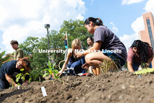 Maizie Schaffart (center), a junior studying psychology and German, helped plant the Indigenous Gard