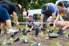 Maizie Schaffart (center), a junior studying psychology and German, helped plant the Indigenous Gard
