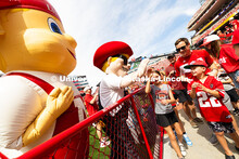 Herbie and Lil' Red give high-fives to fans of all ages during halftime. Nebraska football vs. Houst