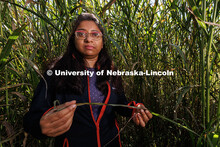 Sruti Das Choudhury, Research Associate Professor in the School of Natural Resources, is developing 