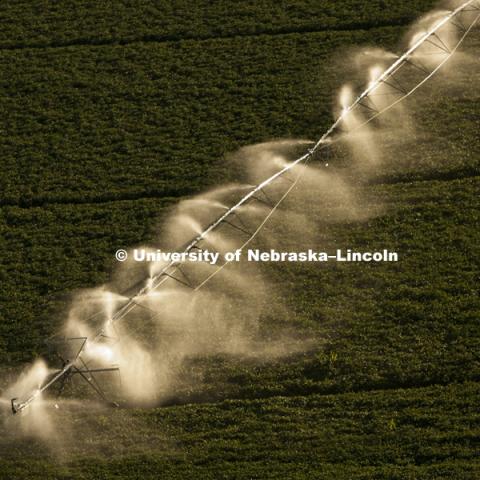 Center Pivot irrigation on soybean fields in York and Filmore counties on August 25, 2010.  Photo by Craig Chandler / University Communications