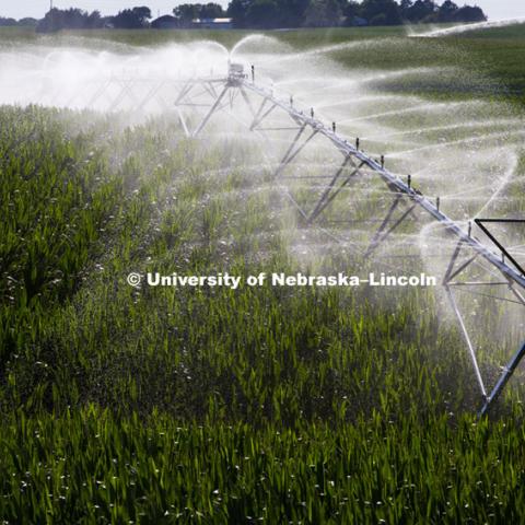 Irrigation Center Pivot in Gage County, July 11, 2012.  Photo by Craig Chandler / University Communications