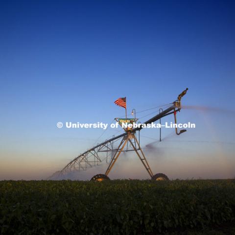 Irrigated corn crops in Nebraska, 130829, Photo by Craig Chandler, University Communications.