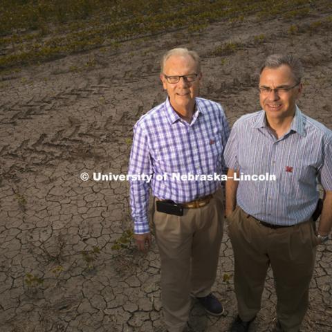 Donald A. Wilhite, Professor Applied Climate Sciences, and Michael J. Hayes, Director and Professor, National Drought Mitigation Center, stand in a dry field in Lincoln, NE.  Office of Research photo shoot June 30, 2015. Photo by Craig Chandler/University Communications.