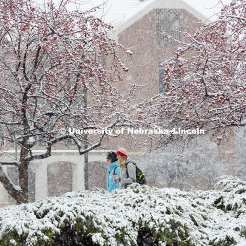 Snow fall on UNL campus.  November 30, 2015. Photo by Craig Chandler / University Communications