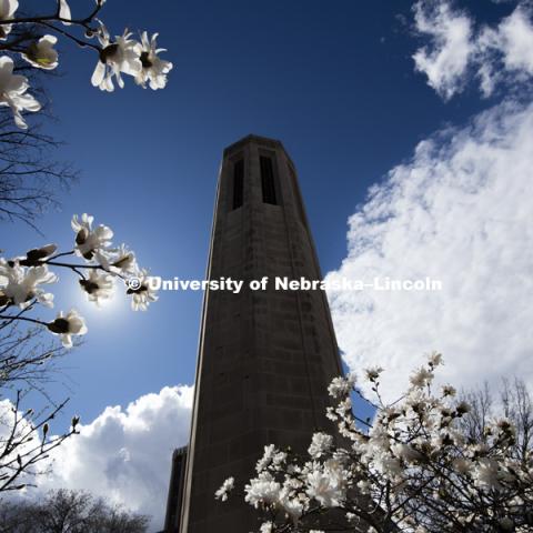 Mueller Bell Tower surrounded by the blooming spring trees. March 16, 2016, photo by Craig Chandler, University Communications.