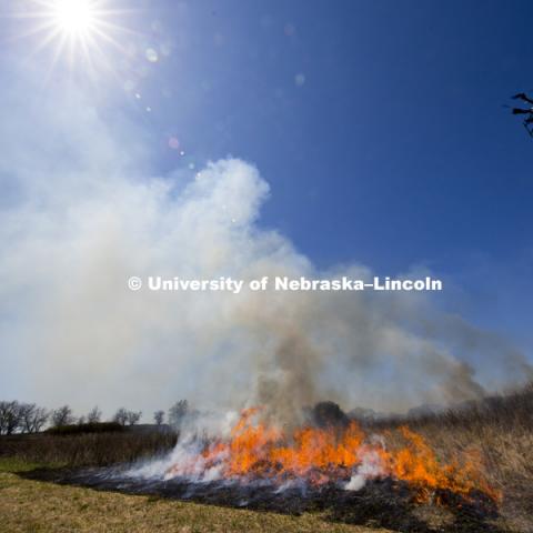 Controlled burn at the Homestead National Monument in Beatrice, NE. Sebastian Elbaum and Carrick Detweiler have engineered a drone able to light controlled prairie burns using balls dropped from the sky. The drone injects a liquid into the plastic spheres to start a delayed fiery process so the balls can fall to the ground before igniting. Elbaum and Detweiler are Professors of computer science and engineering. Twidwell is an assistant professor and range land ecologist in the school of natural resources. April 22, 2015. Photo by Craig Chandler / University Communications