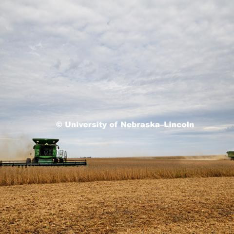 Soybean harvest by the Spohn Farms combine crew near Friend, NE. October 3, 2016. Photo by Craig Chandler / University Communication Photography.