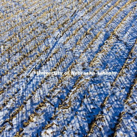 Snow on corn stalks. Southeast Lancaster County. December 4, 2016.   Photo by Craig Chandler / University Communication.